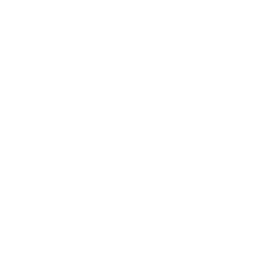 Festas de Santa Comba Dão